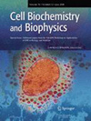 CELL BIOCHEMISTRY AND BIOPHYSICS杂志封面
